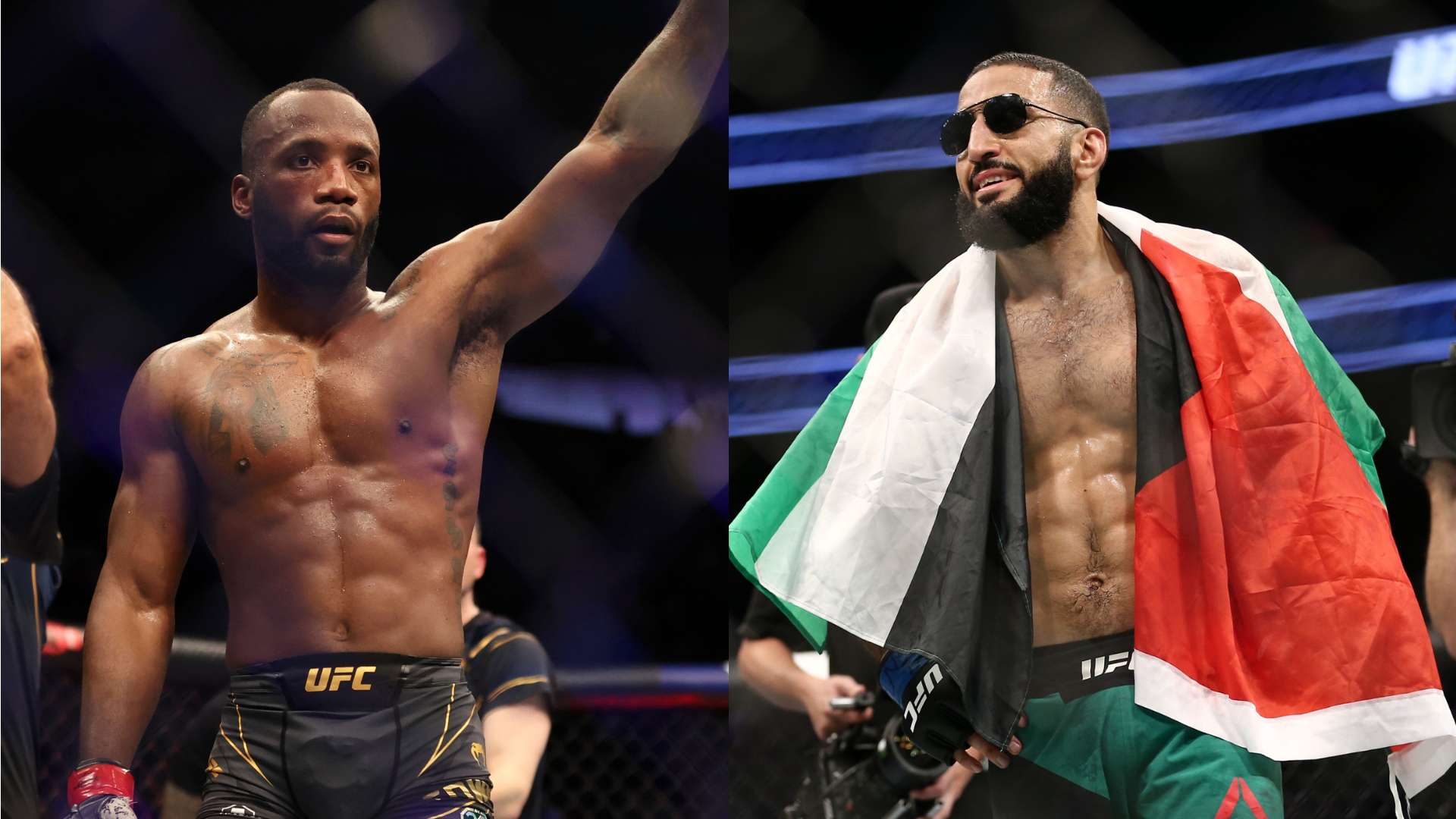 的期待极高 的期待极高