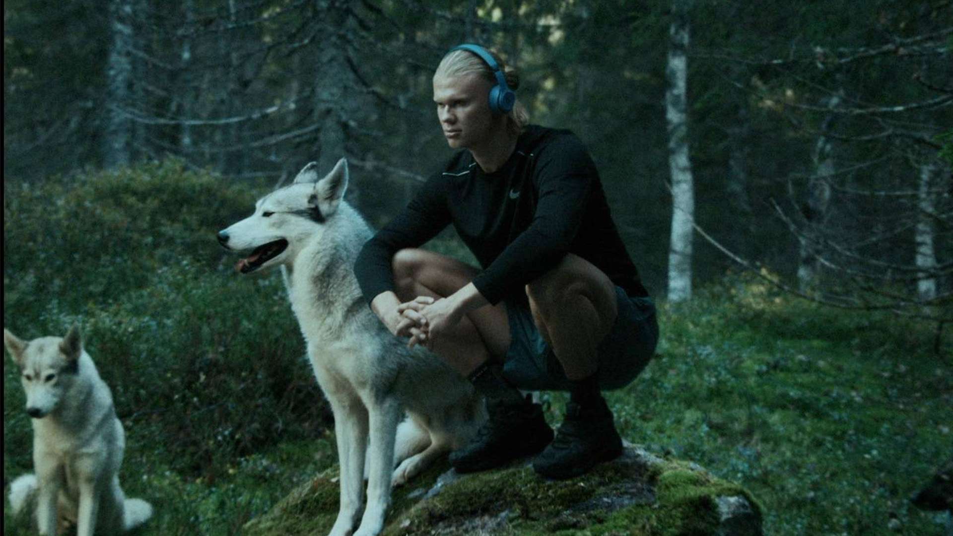 强度的防守 强度的防守